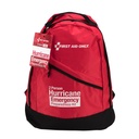 10 Person First Aid Kit, ANSI 2015 Class A (Plastic Case)