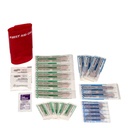 10 Person First Aid Kit, ANSI 2015 Class A (Plastic Case)