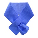 Cold Snap Cooling Towels (copy)